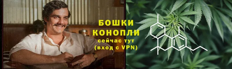 закладки  Цоци-Юрт  Бошки марихуана SATIVA & INDICA 